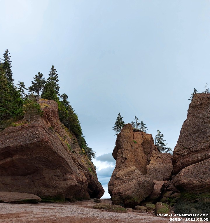 66634PeCrLeRe - Exploring the low tide beach at Hopewll Rocks National Park, NB